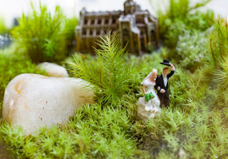 苔のテラリウムを作る -2苔を寄せ植えしてボトルの中に物語を作る 苔のテラリウムを作る -2苔を寄せ植えしてボトルの中に物語を作る