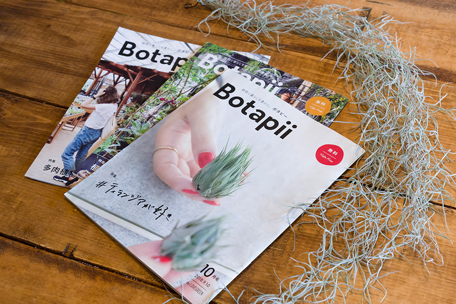 奥さまが編集に携わっている、植物と暮らしをテーマにしたフリーペーパー「Botapi」。