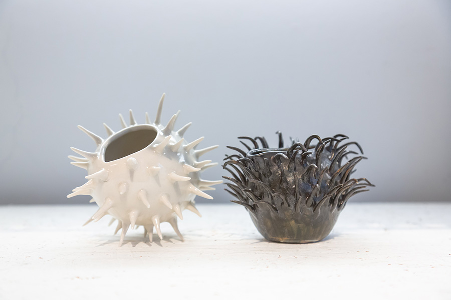 鉢そのものが植物のような、実のような、はたまた海洋生物のようなユニークな鉢は、楡サトミさんによる新しいシリーズ〈Kanai〉。