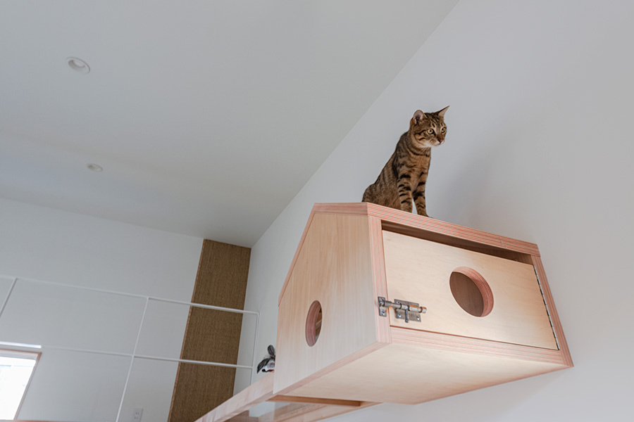 高い位置のおこもり巣は猫のお気に入り。中から隠れて辺りを伺えるのぞき窓を。人の手が届きやすい位置に、中にいる猫を取り出せるドアも設けた。巣の中の掃除にも便利。