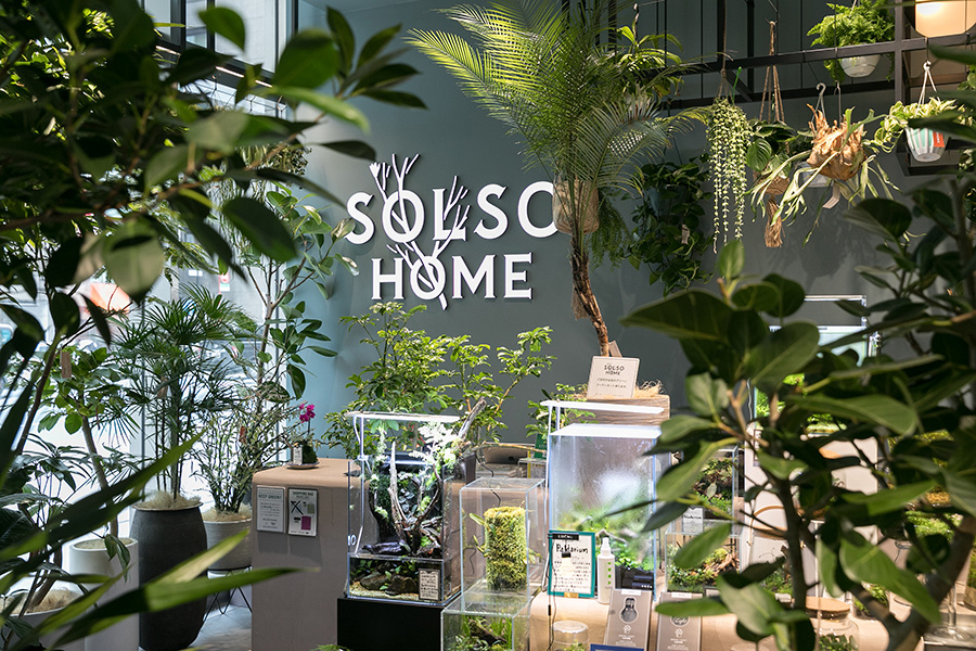 『SOLSO HOME Nihombashi』は2018年にオープンした日本橋高島屋S.C.の１階にある。ガラスケースでグリーンを楽しむパルダリウムの紹介コーナーも充実している。