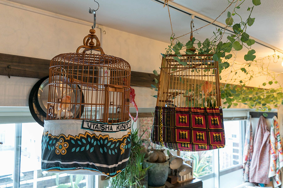 2羽のカナリアの鳥籠は、猫たちの手が届かないところに吊っている。下部を包む布は、エサや羽の飛び散り防止のためのもので、ケニヤの布で知人に作ってもらったもの。