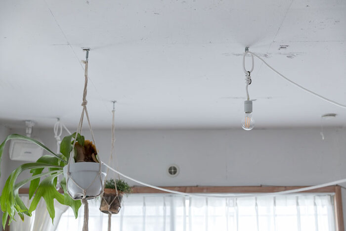 天井を抜いた際に現れた穴は、照明器具や植物を吊るすのに好都合。「電球の高さは自由に変えられます」