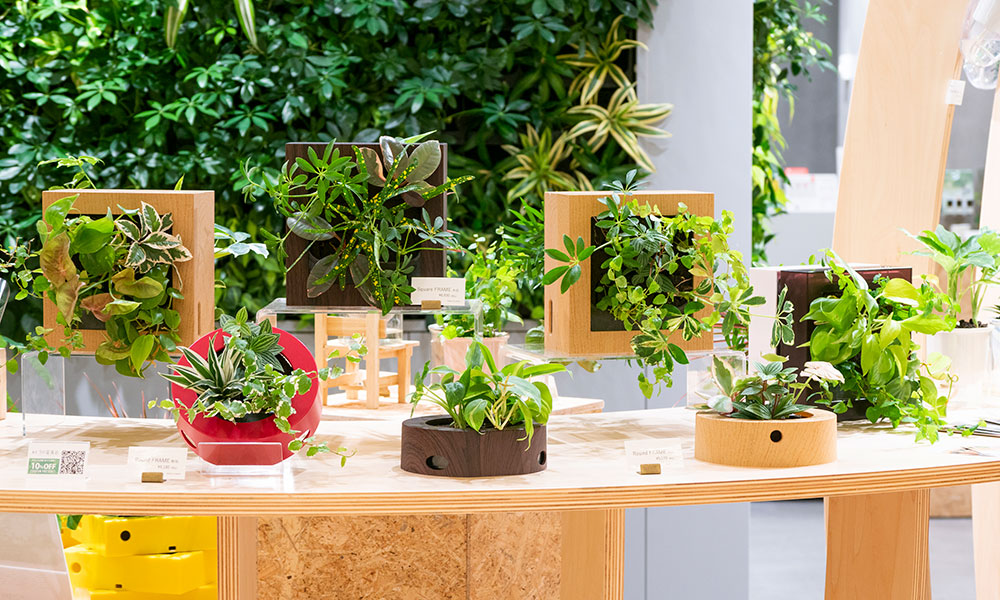 中型 人工観葉植物 緑色 楽天市場】【ポイントUP】【公式】シダ エレクトロポットS 観葉植物