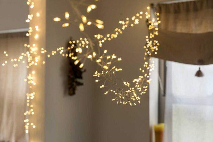 細いワイヤーに細かなLED電球がついたクリスマスライト。「テーブルの上に渡しても素敵です」