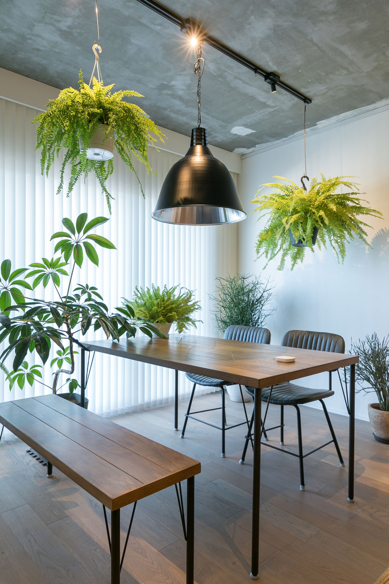 平行に2本設置された照明用のダクトレールに、高さを変えて植物を吊るすことで立体感のある空間を演出している。