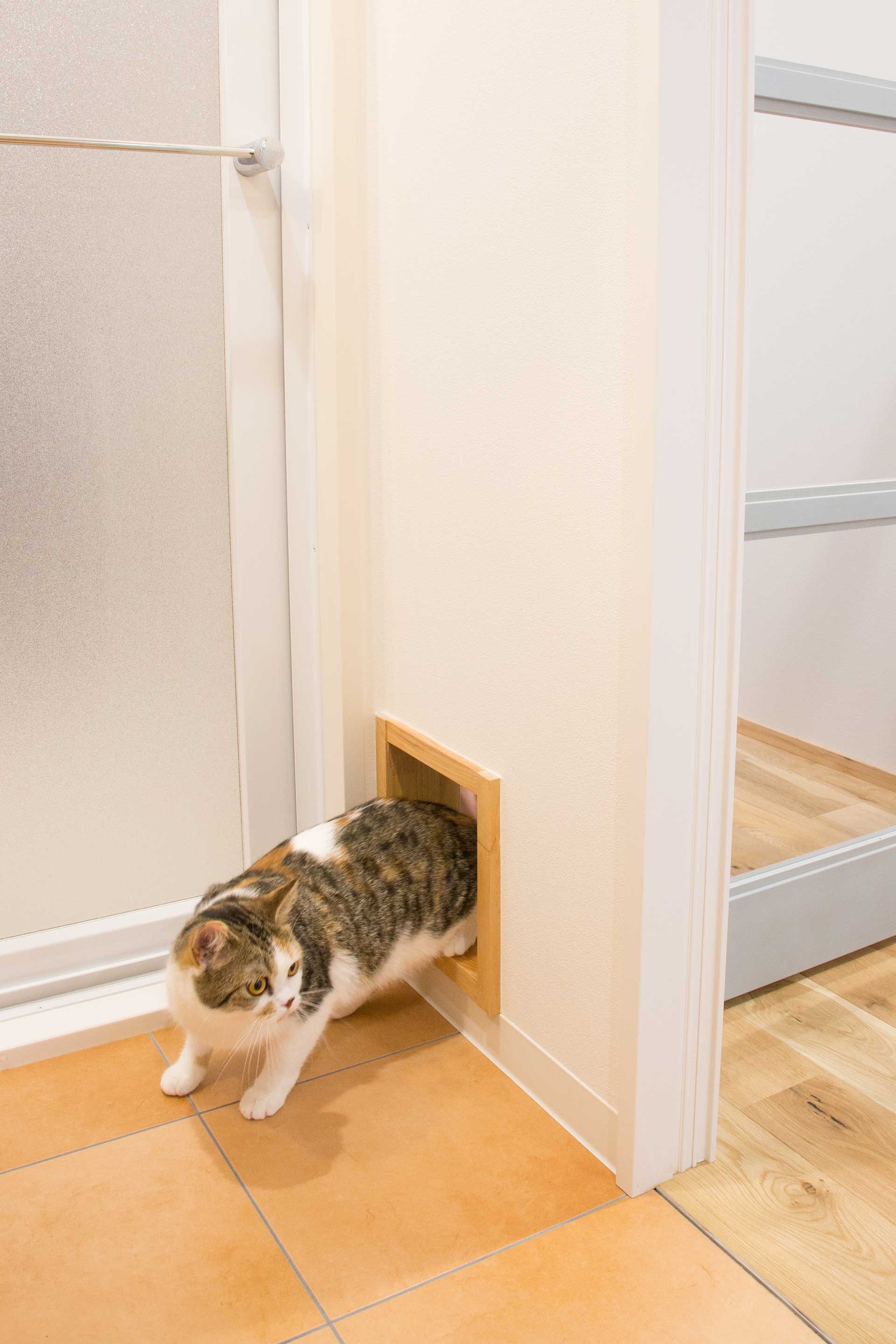 専用の入り口があれば、空調の問題なく猫が自由に行き来できる。