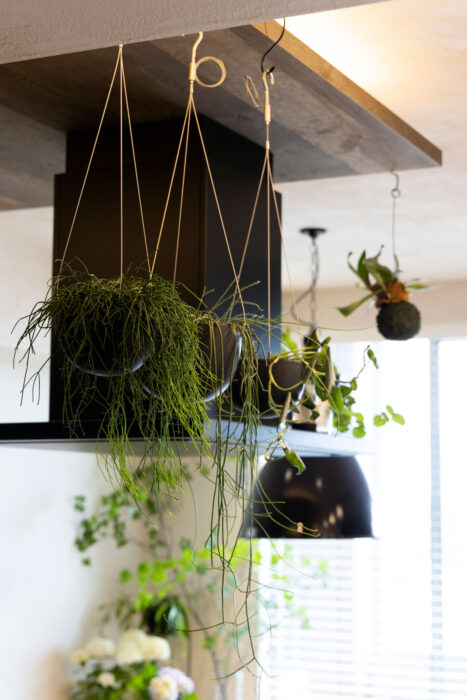 アイランドキッチンの上から垂れる植物をハンギング。