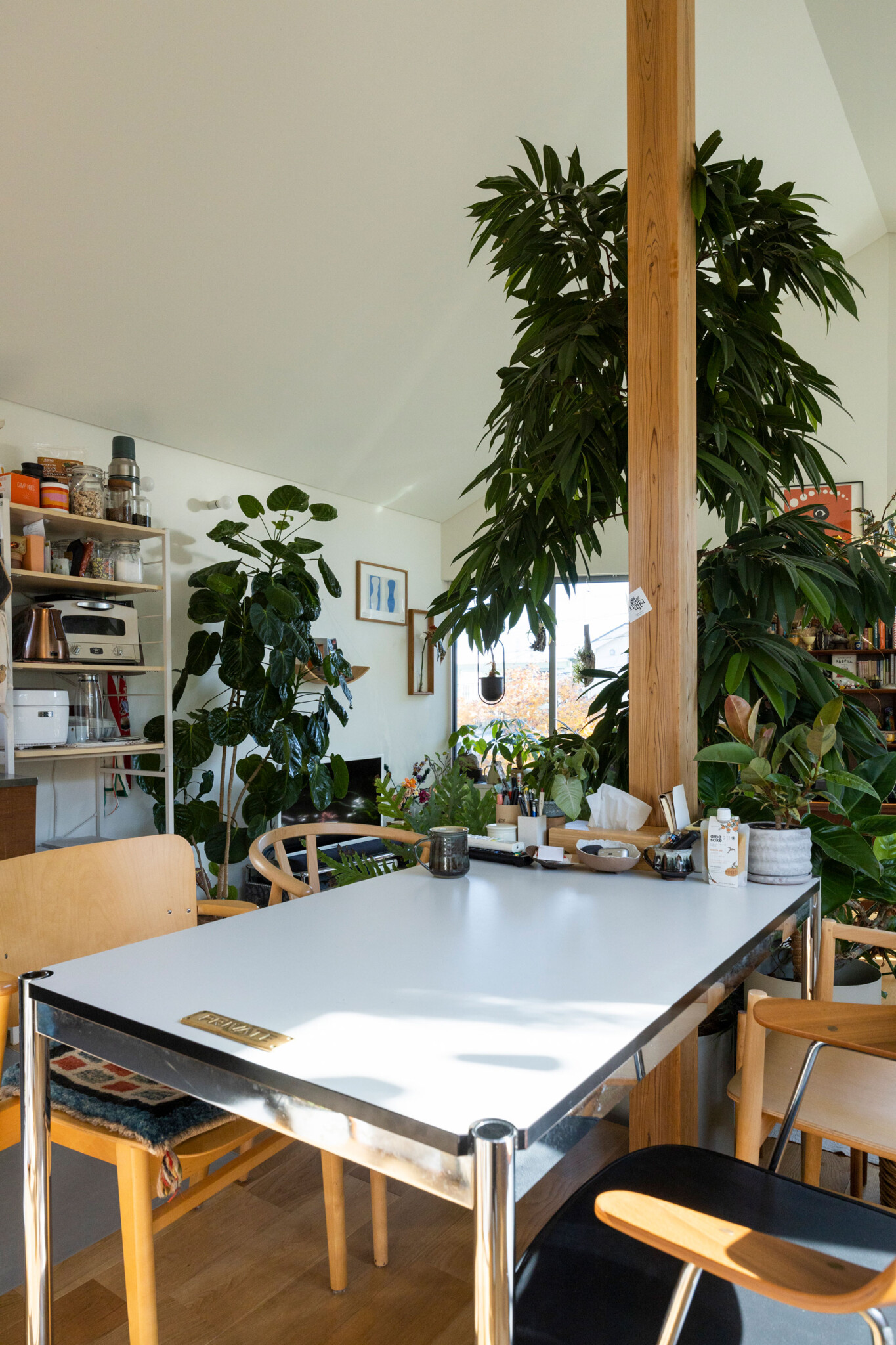 シンボルツリーの後ろに置いたダイニングテーブルはUSMハラー。天板に真鍮の“PRIVATE”タグをつける遊び心も。「植物や木のものが多い空間なので、敢えてテイストの違う素材のテーブルを選びました」。イスもテーブルもACTUSで揃えた。