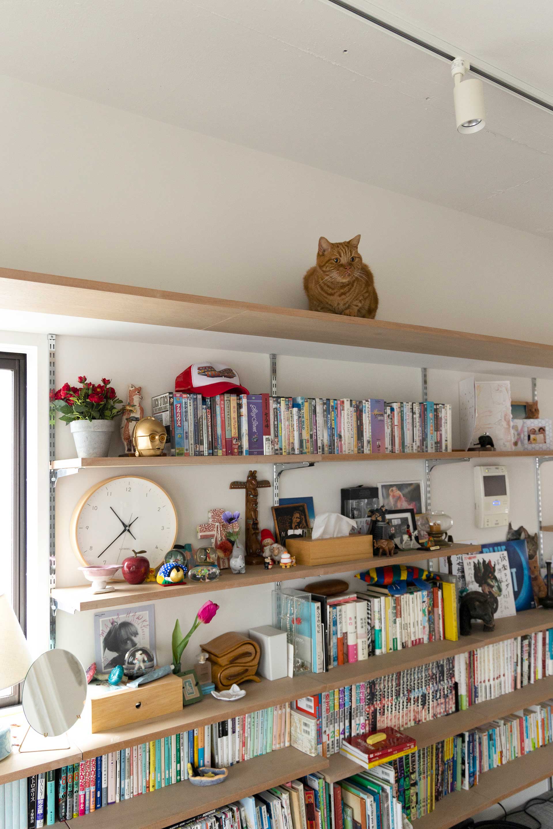 本棚の棚板は自由に位置が変えられ、本のサイズに合わせて調整が可能。上の段は猫のキャットウォークに。
