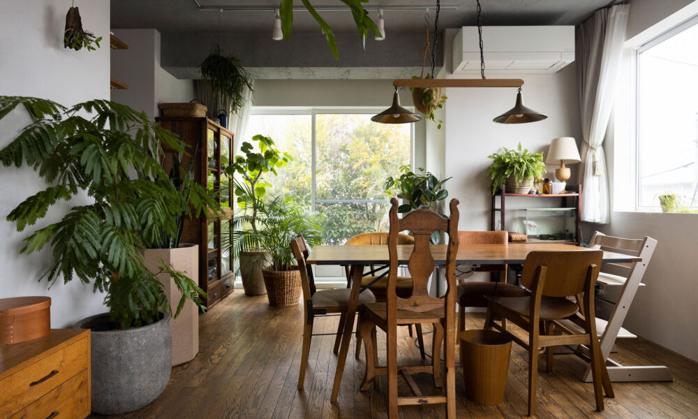 デザイン性と機能性を融合 絶妙のバランスで魅せる 緑と光に包まれる家