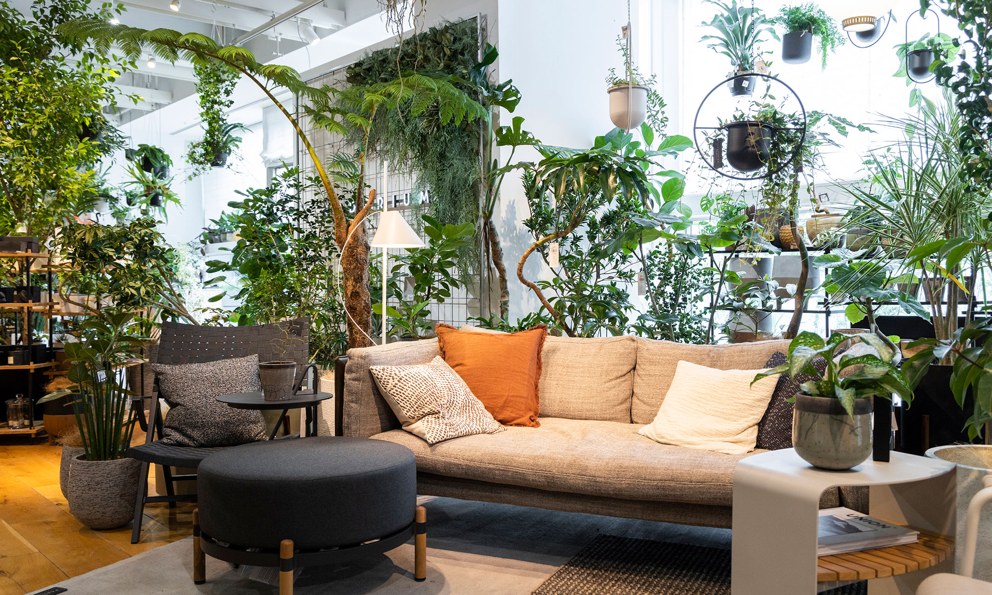 緑と家具の相性を考える〈1〉インテリアショップでグリーンを買う理由