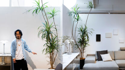 緑と家具の相性を考える〈２〉 インテリアのプロに聞く、 家具と植物の上手な組合わせ方