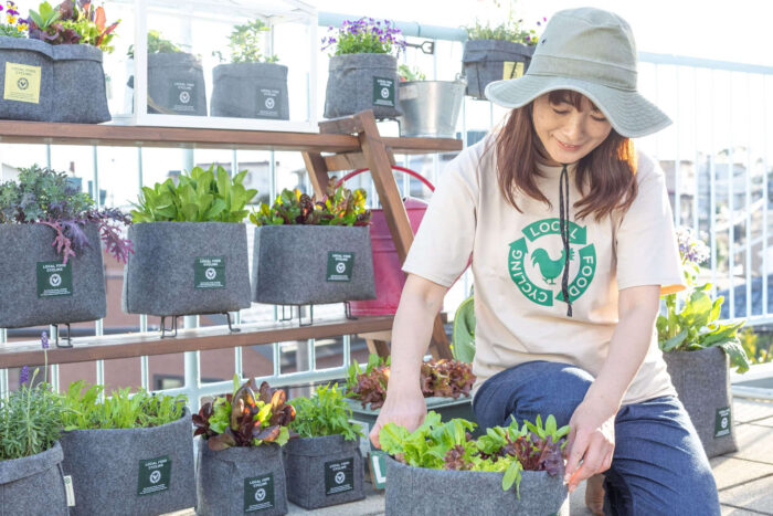 できあがった堆肥で野菜を栽培。初心者にはルッコラやベビーリーフなどから始めるのがおすすめ。