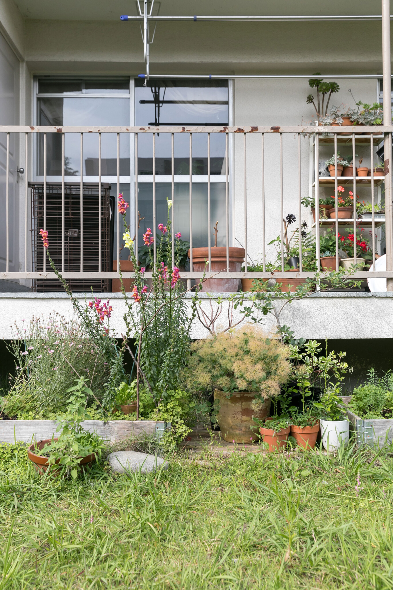 目の前には大きな植栽エリアが広がる。