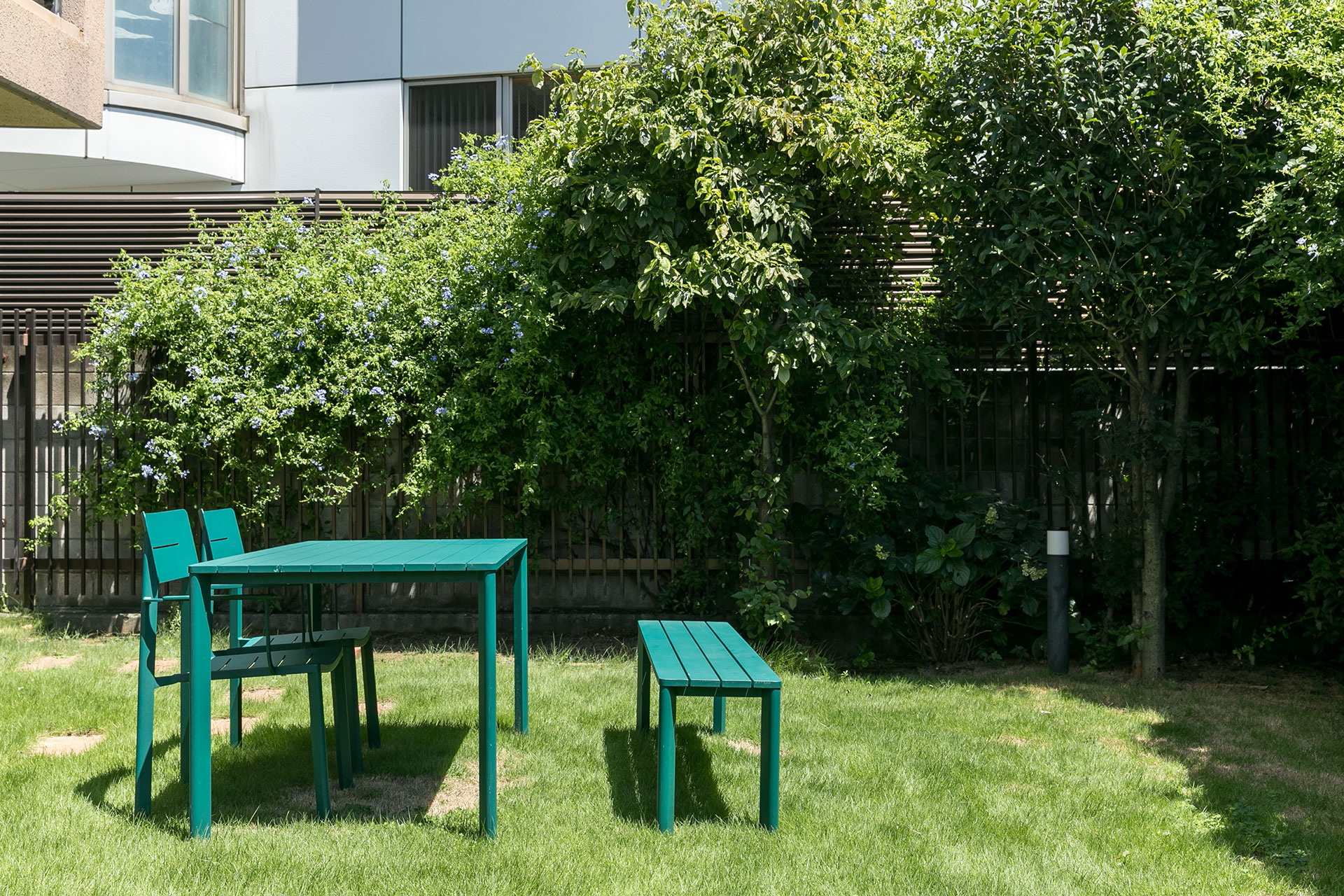 庭の花壇側を見る。以前の住まい手が育てていた金木犀や山椒の木もある。