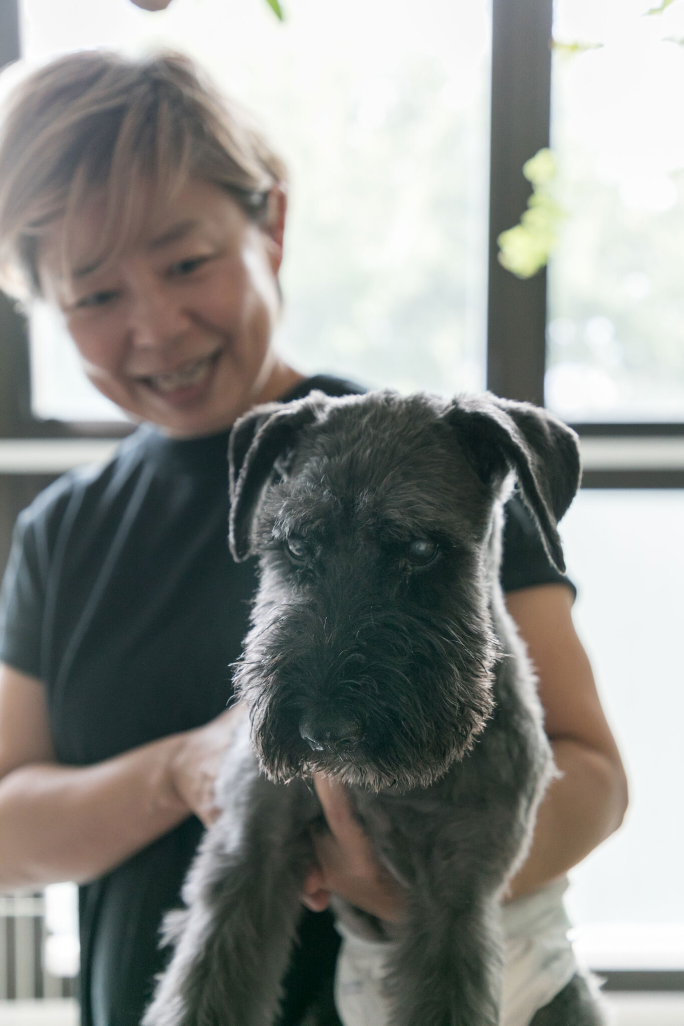 貰い手のいない犬を引き取って育てている松野夫妻。恵まれない環境にある犬たちと関わるようになりブランドを立ち上げた。