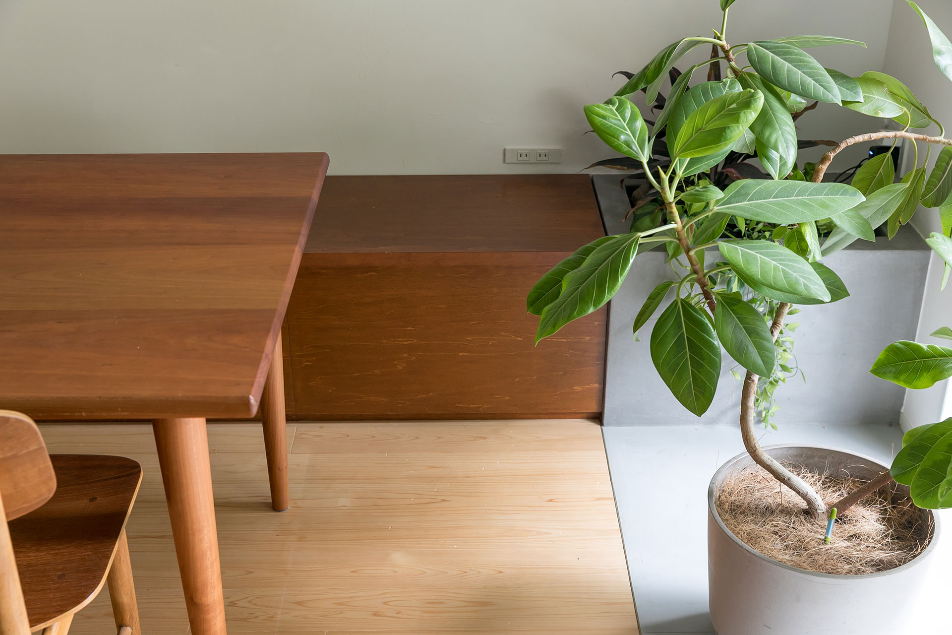 ベンチに加え、グレーのタイル床に合わせモルタルの造作プランタを設置。インナーテラスとの見切り材には妻が好きな真鍮を採用した。真鍮はドアノブなどにも使われている。