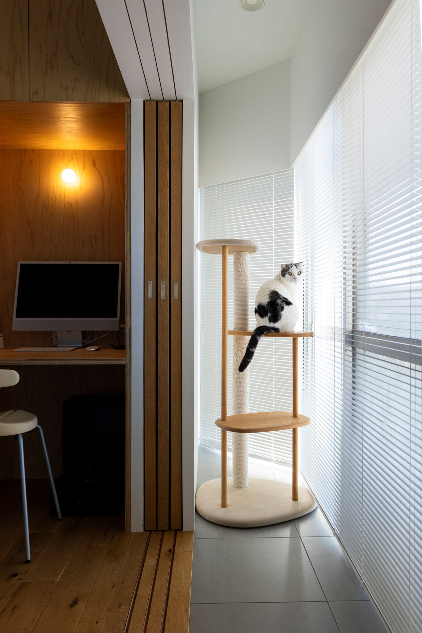 インナーテラスは愛猫のスコティッシュホールド、こはだちゃんの居場所に。眺めもよし。