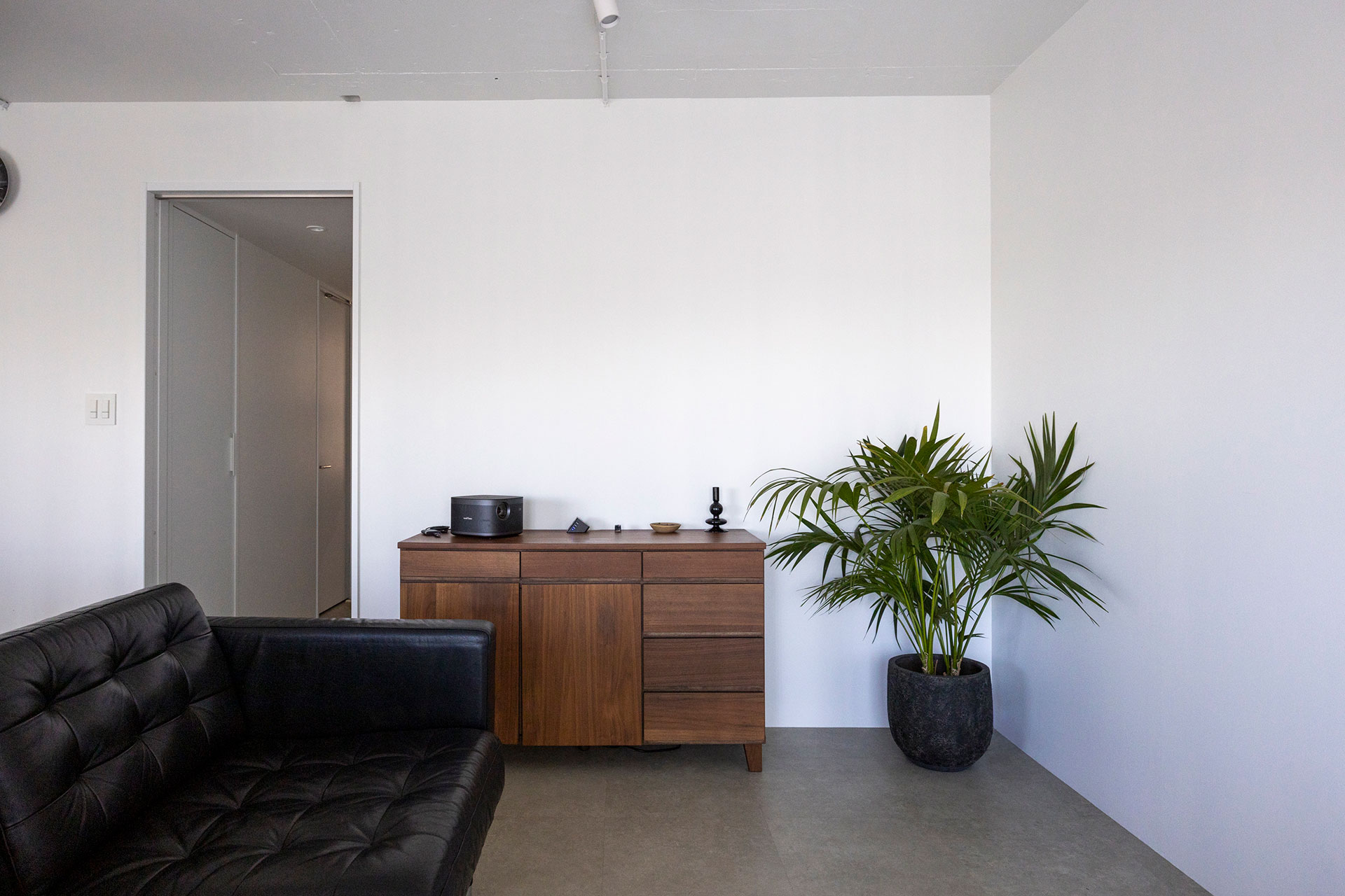 箱のような空間に家具やグリーンを。「キャビネットはヴィンテージのものを探し中です」