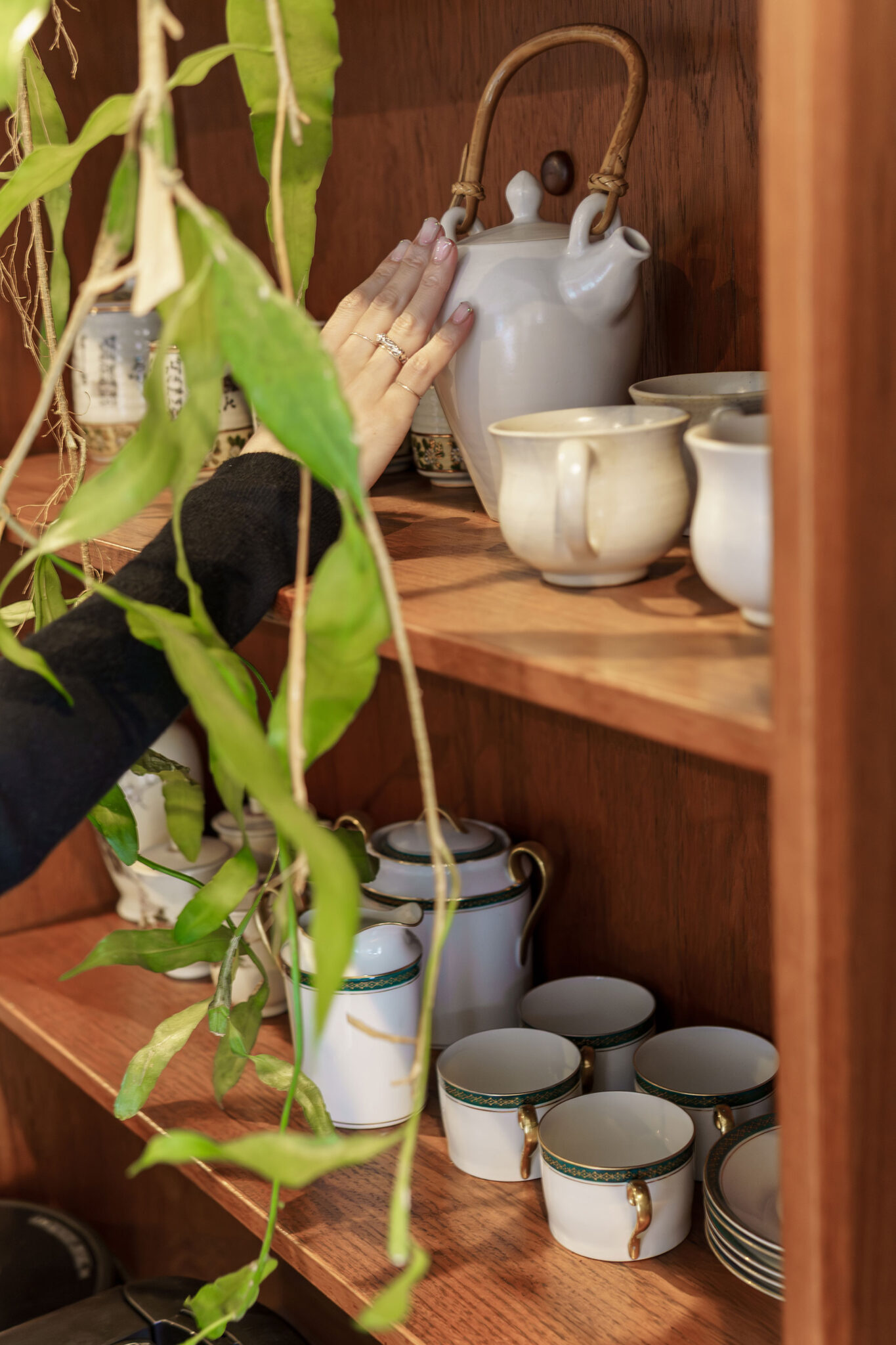 バリのジェンガラケラミックから薩摩焼まで。見た目も国も様々な器が並ぶ。