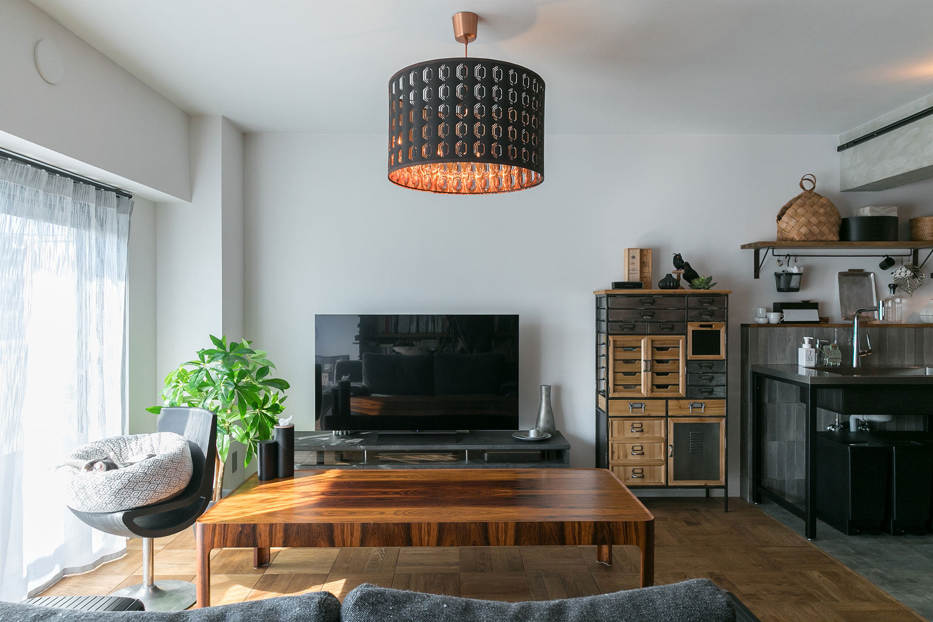 一緒に暮らす猫のために塗り壁を採用した。