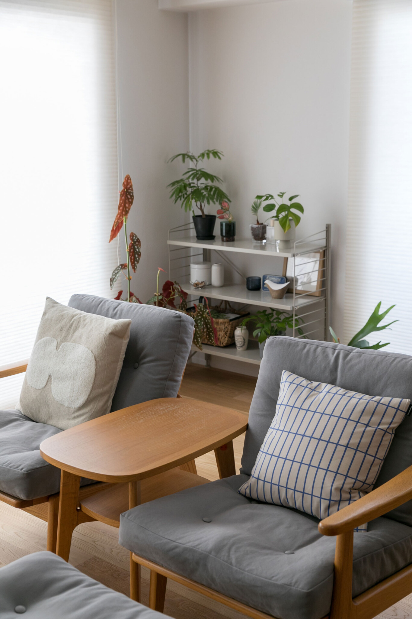 リビングの一人がけソファはMARNIの60シリーズ。「10年ほど前から使っていますが、リノベーションを機にクッションを張り替えました」。