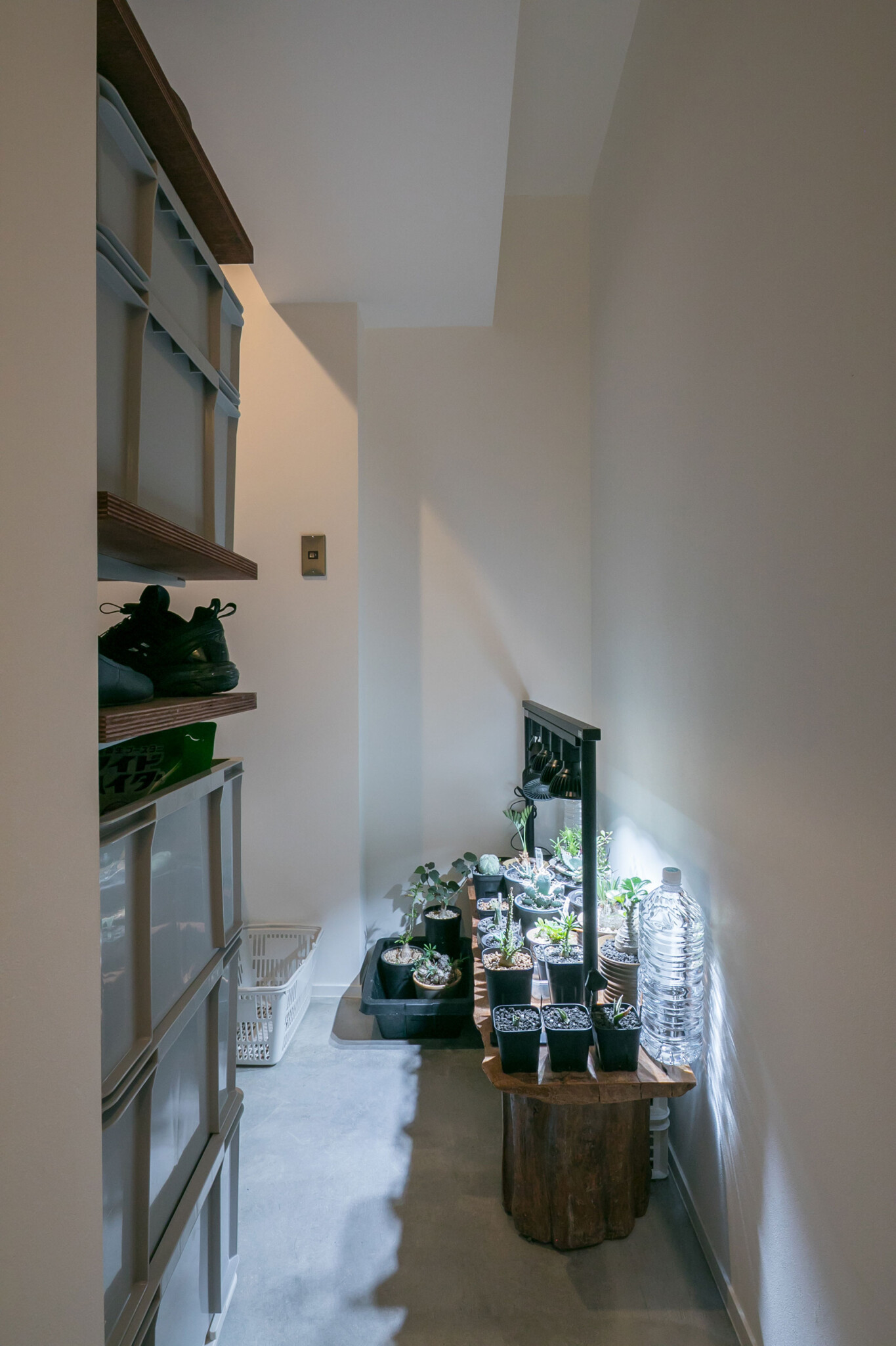 玄関から続く土間で、植物を育てている。写真左奥がシューズクローク。