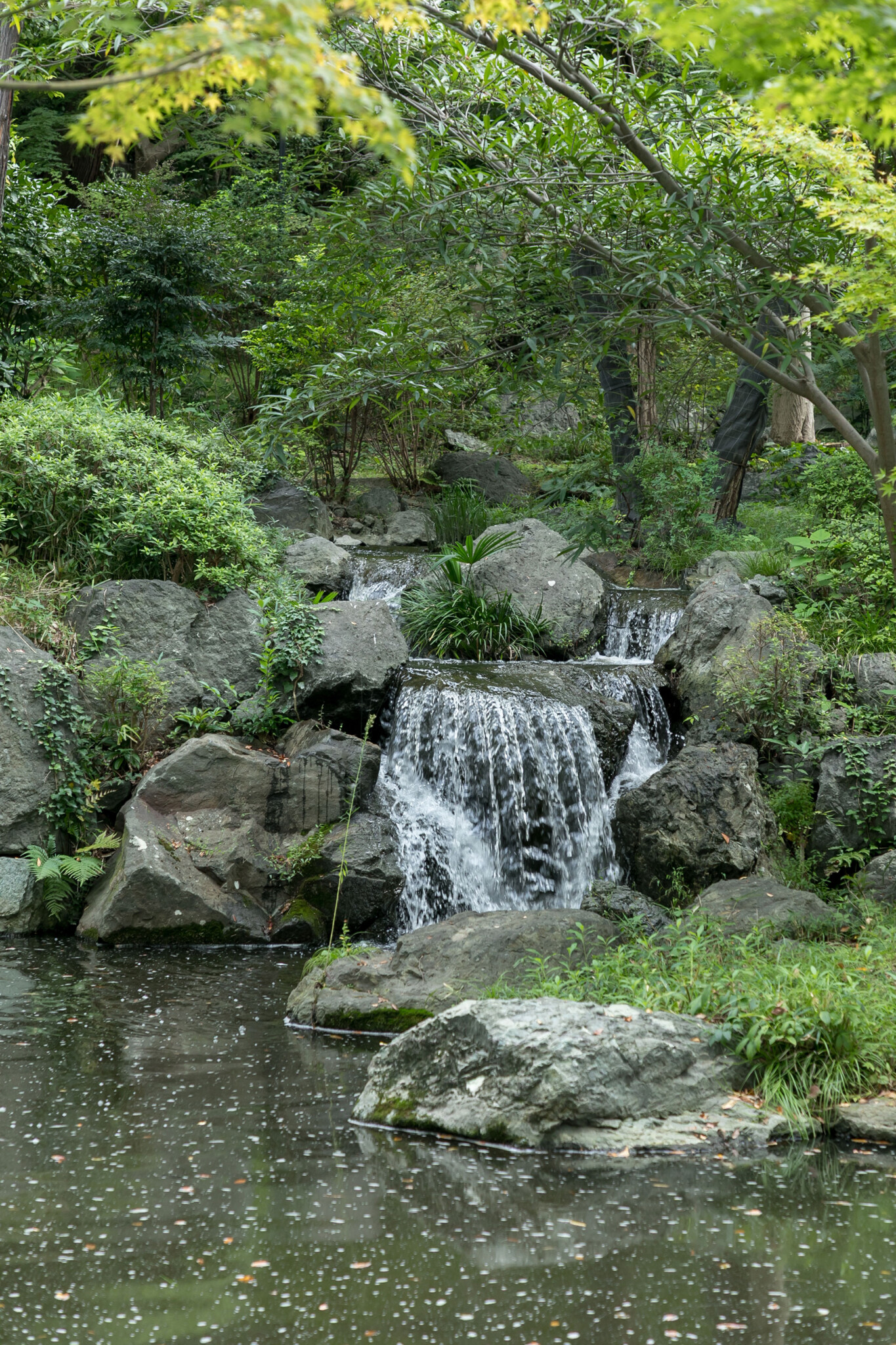 敷地内の森を流れる川には小さな滝も。